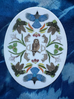 sticker - Spotted Owls Among the Firs