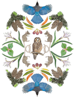 Ecosystem Card - Spotted Owls Among the Firs